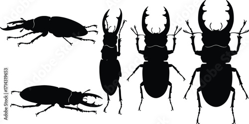 High-Resolution Black Silhouettes of Diverse Beetles in Natural Environments for Scientific Illustration and Educational Resources