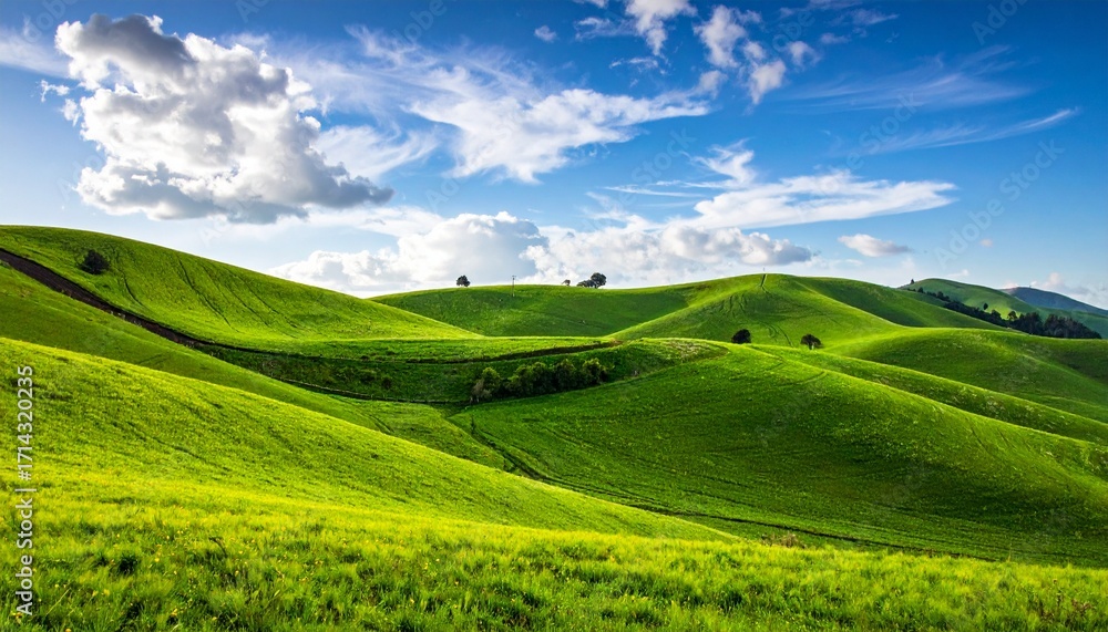 Fototapeta premium Rolling green hills and blue sky with clouds