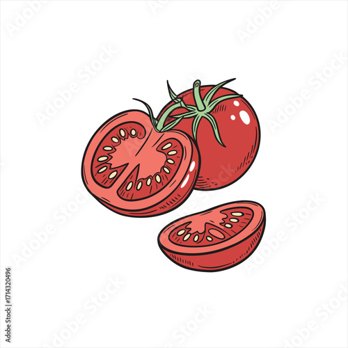 Hand drawn illustration of fresh red tomatoes and slices on white background