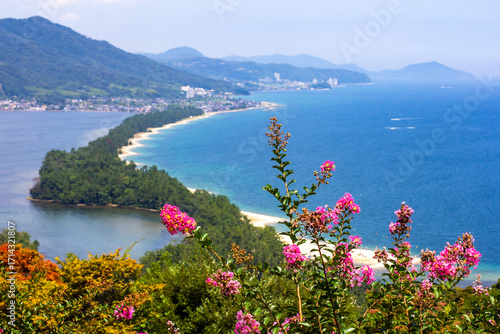 Amanohashidate, Kyoto prefecture, Japan, Panorama view, pink flowers