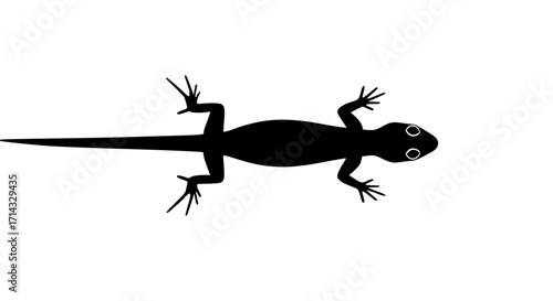 Lizard crawling black white icon