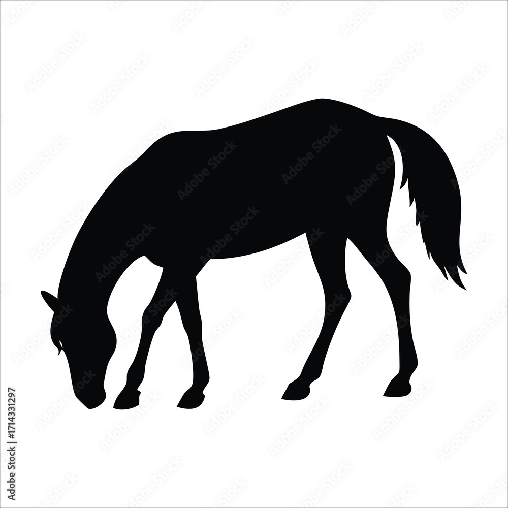 Obraz premium Black silhouette of a horse grazing on a white background