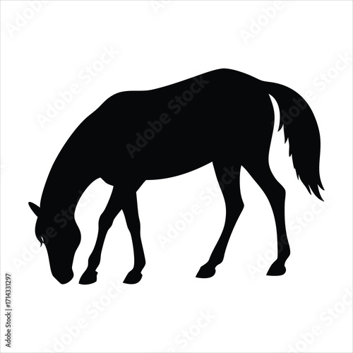Black silhouette of a horse grazing on a white background