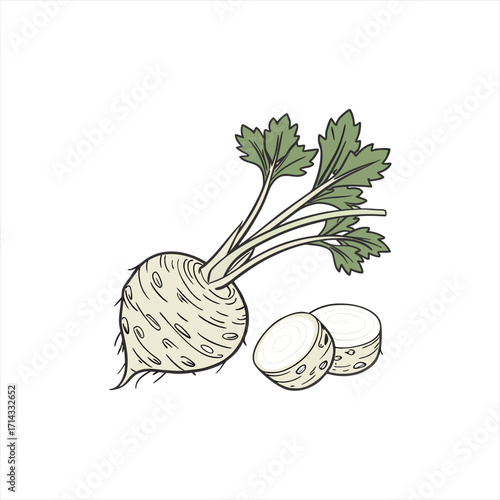 Celery root vegetable with slices and green leaves