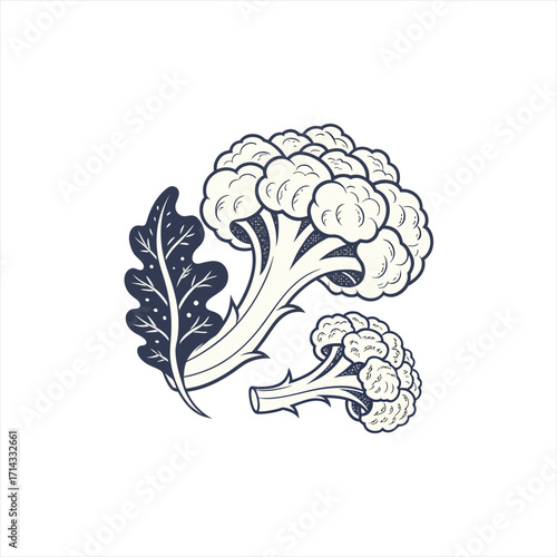 Stylized illustration of cauliflower and broccoli with a leaf
