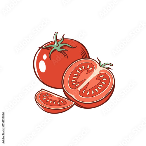 Fresh red tomato whole halved and sliced illustration
