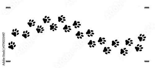 Black Paw Prints Trail Across a White Background with Corner Markings