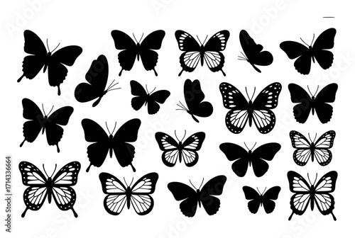 Collection of Black Silhouette Butterflies on a White Background