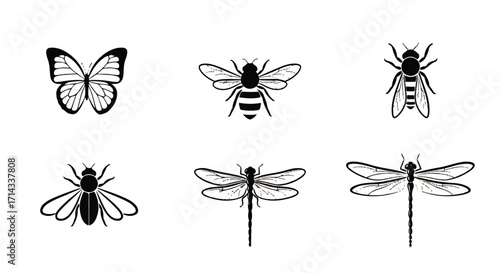 Line art of butterfly, bees, fly, and dragonflies in vector format