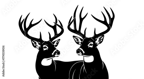 Vector silhouettes of two deer with antlers, wild forest animal icons, wildlife and hunting design elements isolated on white background