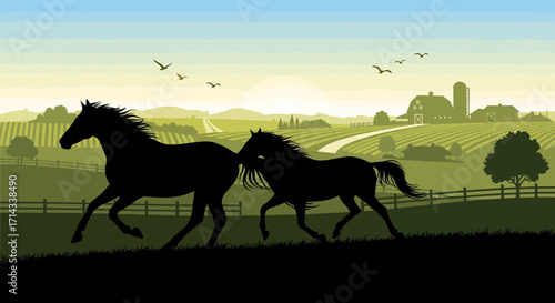Vector silhouettes of two horses running, wild animal icons, equestrian and countryside theme design isolated on white background