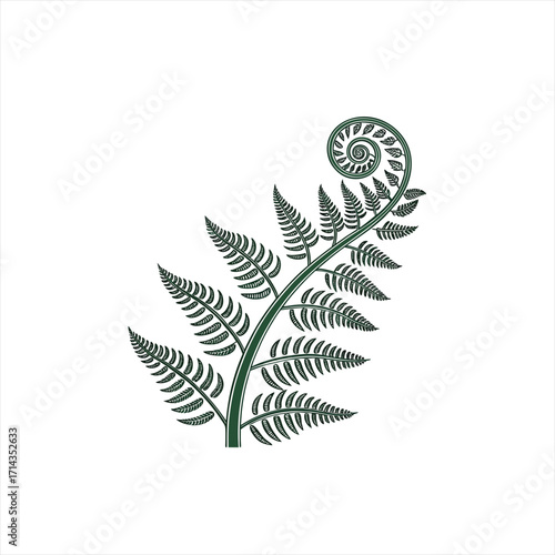 Stylized green fern frond unfurling with detailed leaves