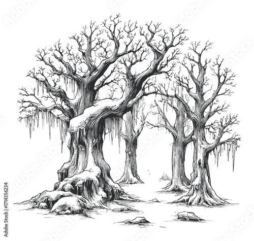 Intricate Hand-Drawn Engraving of Leafless Trees in Winter Landscape Design