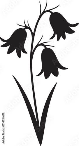  Black silhouette of a bluebell flower on a white background, vector style