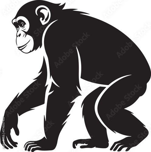 Black silhouette of a chimpanzee on a white background, vector art
