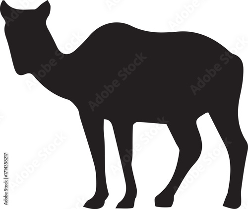 Camel Silhouette: A striking black silhouette of a camel, set against a clear background, exudes a sense of ancient travel and desert mystique. 