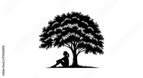 A silhouette of a woman sitting under a large tree 
