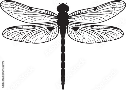 Black silhouette of a dragonfly on a white background, clean vector