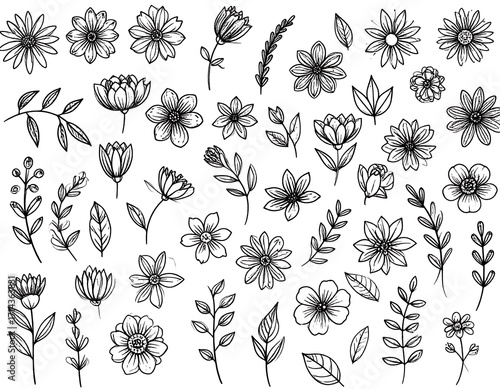 Black and white floral design elements