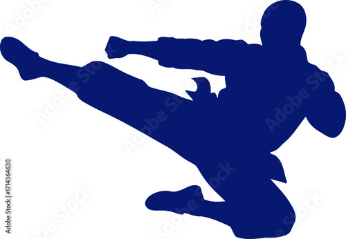 the blue silhouette of a dynamic martial artist in motion, isolated on transparent background