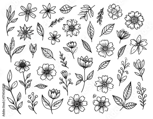 Black and white floral line art collection (1)