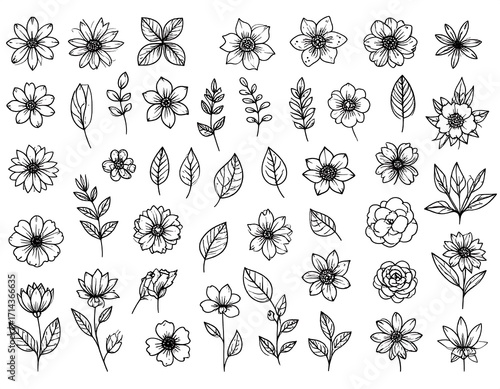 Black and white floral line art collection