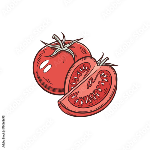 Hand drawn illustration of a whole tomato and a sliced tomato
