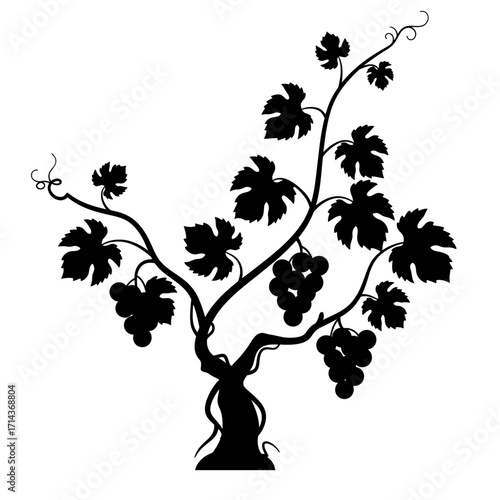 Silhouette of a grapevine with clusters of grapes and leaves capturing the essence of viticulture and wine making isolated on white background Vector Illustration