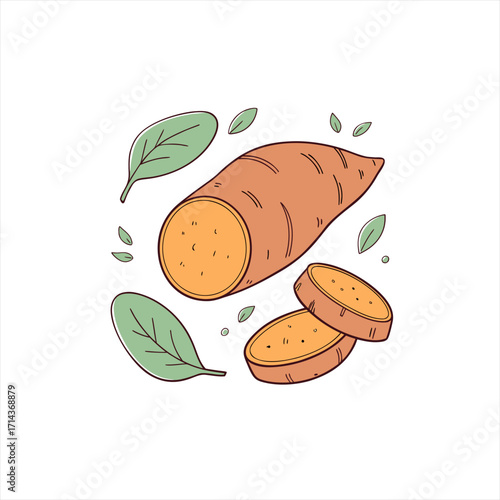 Hand drawn illustration of a sweet potato with leaves and slices