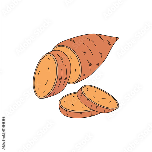 Hand drawn illustration of sliced sweet potato on a white background