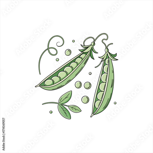 Illustration of fresh green pea pods with leaves and scattered peas