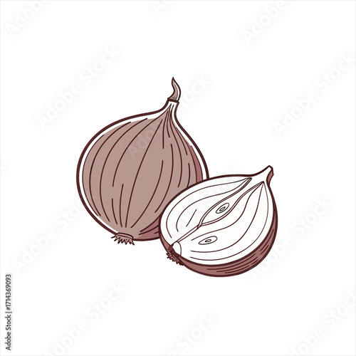 Illustration of a whole onion and a halved onion on a white background