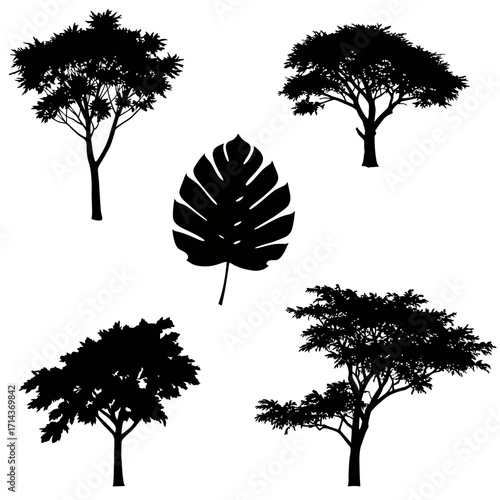 Silhouetted trees and large leaf collection natural elements forest botanic outdoor nature scenery decorative graphic design assets vegetation woodland isolated on white background Vector Illustration