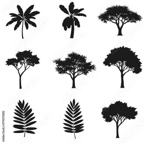 Diverse silhouettes of tropical trees and palm fronds for artistic and design applications decorative elements isolated on white background Vector Illustration