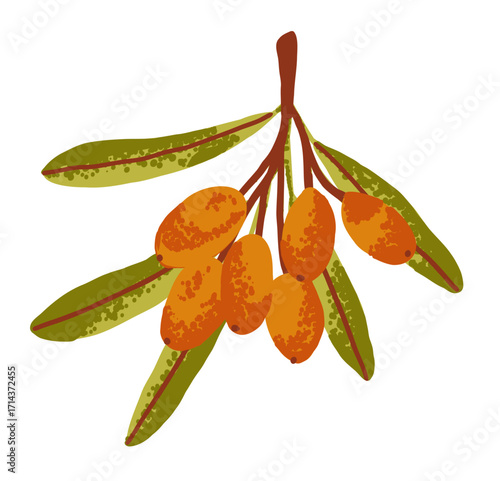 Autumn sea buckthorn berry branch in flat style