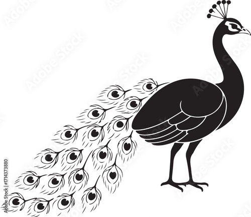  Black silhouette of a peacock on a white background, elegant outline