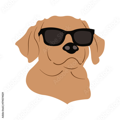 dog with sunglasses