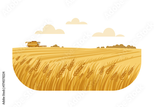 Wheat field with a combine harvester and clouds