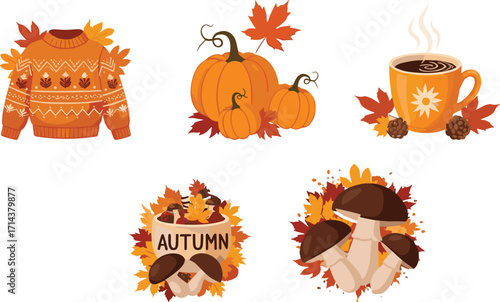 Autumn, fall, sweater, pumpkins, coffee, tea, mushrooms, leaves, pinecones, cozy, seasonal, harvest, warm, knitted, nature, foliage, rustic, drink, acorns, hygge