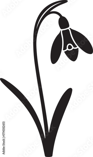  Black silhouette of a snowdrop flower on a white background, simple vector