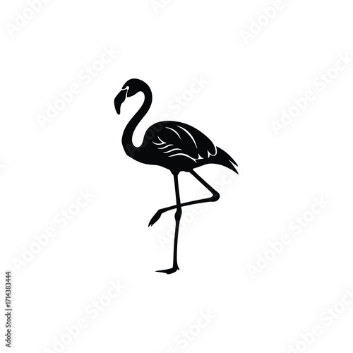 Flamingo with feather details standing