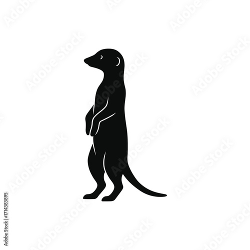 Meerkat standing upright silhouette