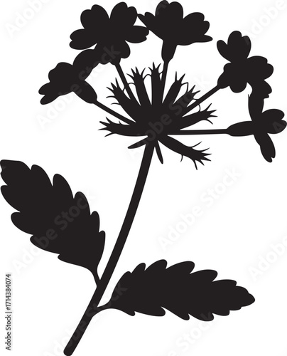 Black silhouette of a verbena flower on a white background, clean vector