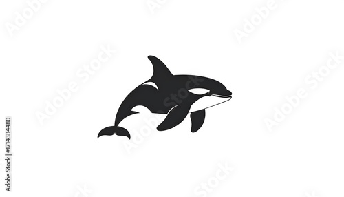 Black and white stylized orca