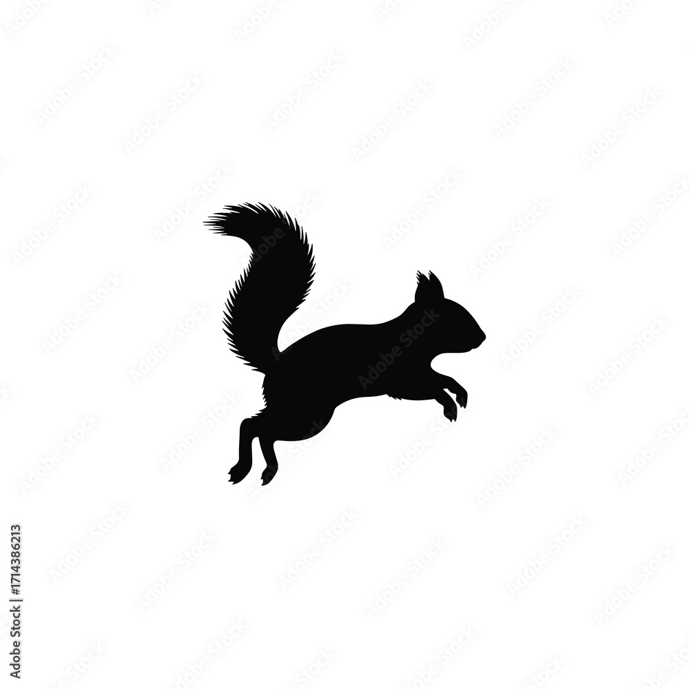Obraz premium Squirrel jumping with fluffy tail silhouette