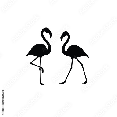 Two flamingos set facing and walking