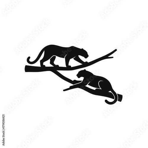 Two panthers on branches silhouette