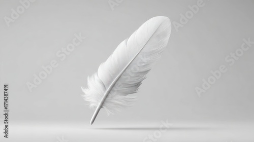 White feather on light background