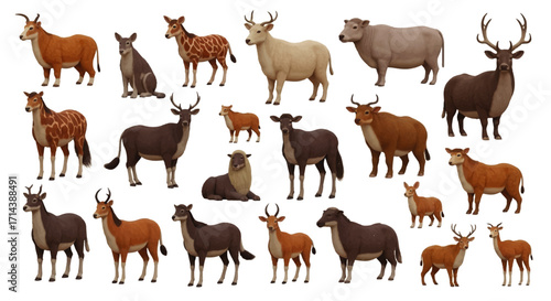 Diversity of Deer A Collection of Buck Illustrations