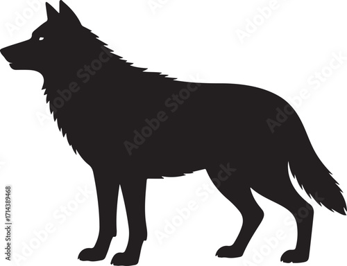 Black silhouette of a wolf on a white background, vector clipart